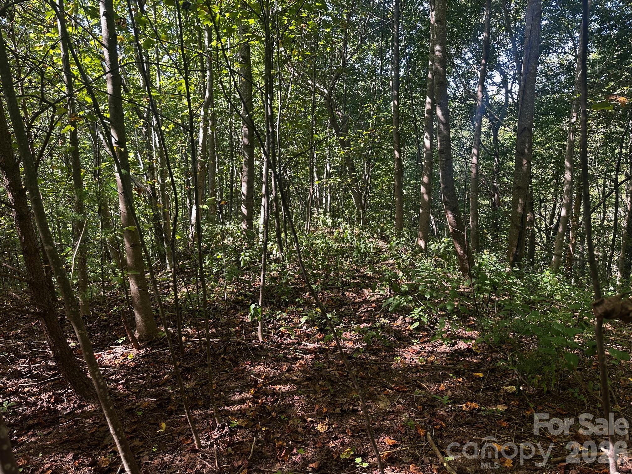0 Clear Creek Trail Lake Lure NC 28746