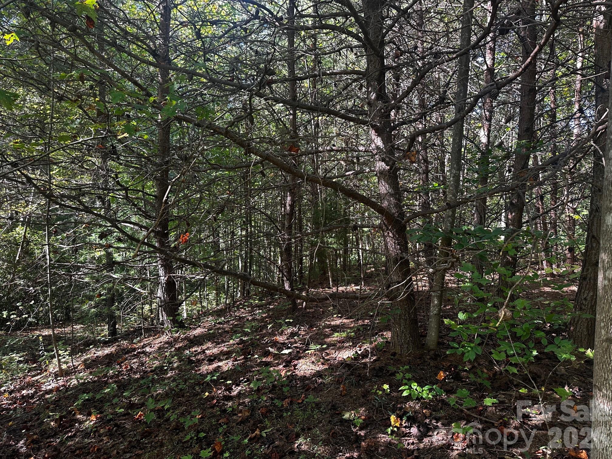 0 Clear Creek Trail Lake Lure NC 28746