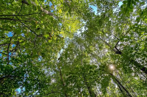 0000 Arcadia Falls Way Black Mountain NC 28711