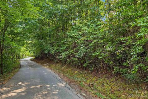 0000 Arcadia Falls Way Black Mountain NC 28711