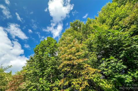 0000 Arcadia Falls Way Black Mountain NC 28711