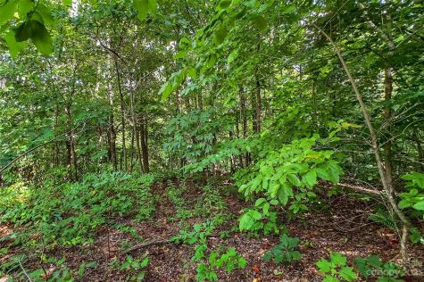 0000 Arcadia Falls Way Black Mountain NC 28711