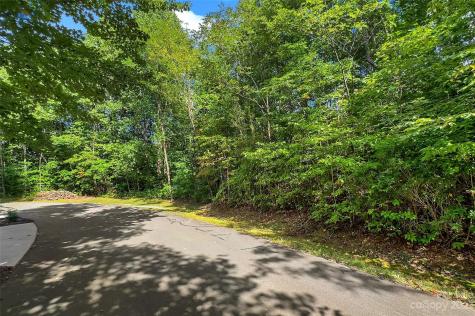 0000 Arcadia Falls Way Black Mountain NC 28711