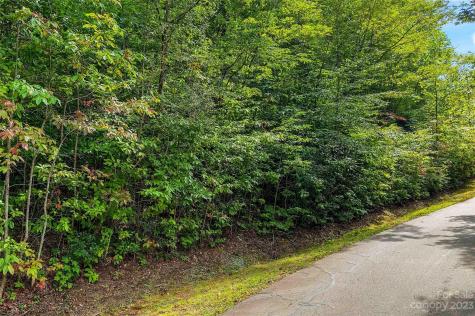 0000 Arcadia Falls Way Black Mountain NC 28711