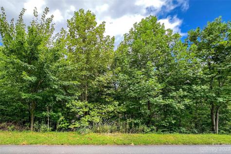 0000 Arcadia Falls Way Black Mountain NC 28711