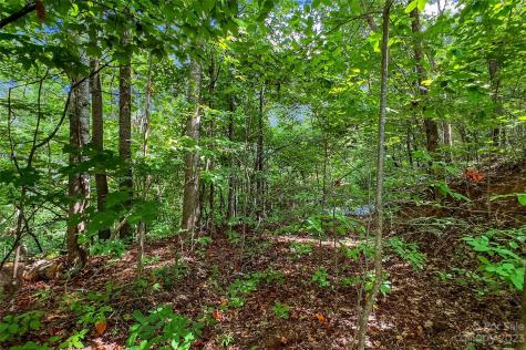 0000 Arcadia Falls Way Black Mountain NC 28711