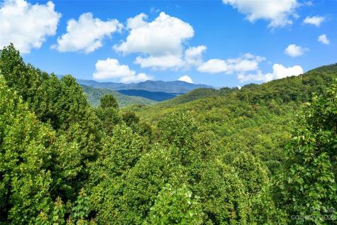 0000 Arcadia Falls Way Black Mountain NC 28711