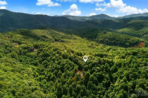 0000 Arcadia Falls Way Black Mountain NC 28711