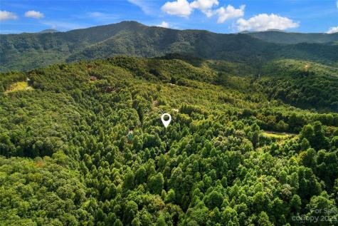 0000 Arcadia Falls Way Black Mountain NC 28711