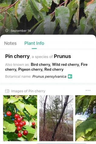 0000 Arcadia Falls Way Black Mountain NC 28711