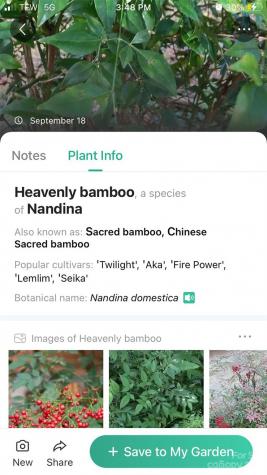 0000 Arcadia Falls Way Black Mountain NC 28711