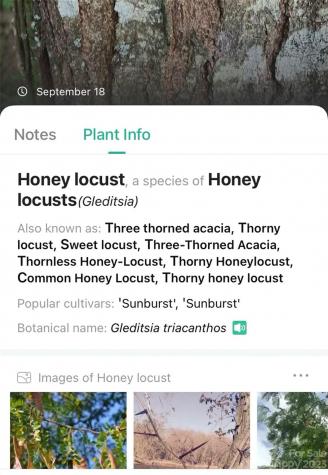 0000 Arcadia Falls Way Black Mountain NC 28711