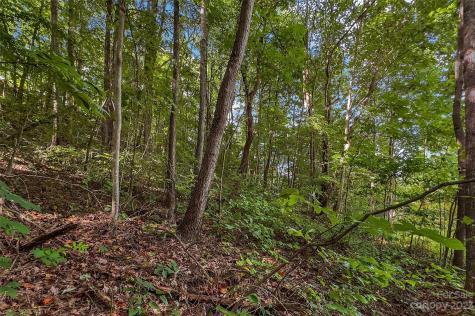 0000 Arcadia Falls Way Black Mountain NC 28711