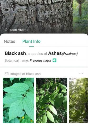 0000 Arcadia Falls Way Black Mountain NC 28711