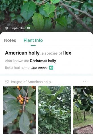 0000 Arcadia Falls Way Black Mountain NC 28711