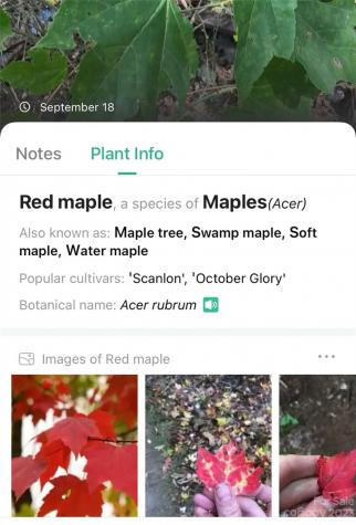 0000 Arcadia Falls Way Black Mountain NC 28711