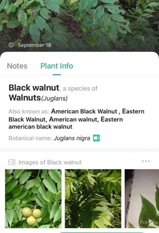 0000 Arcadia Falls Way Black Mountain NC 28711