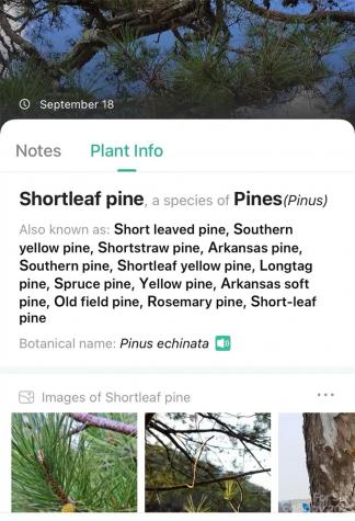 0000 Arcadia Falls Way Black Mountain NC 28711