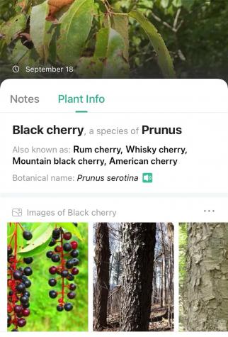 0000 Arcadia Falls Way Black Mountain NC 28711