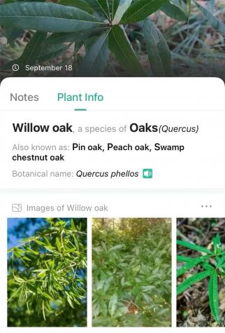 0000 Arcadia Falls Way Black Mountain NC 28711