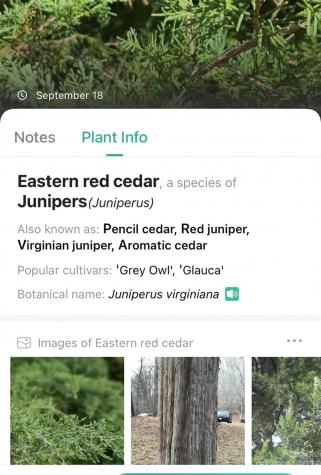 0000 Arcadia Falls Way Black Mountain NC 28711