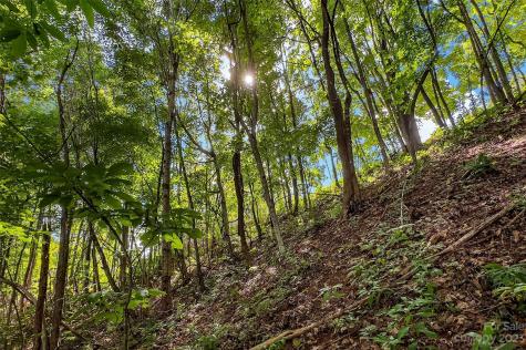 0000 Arcadia Falls Way Black Mountain NC 28711