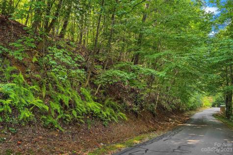 0000 Arcadia Falls Way Black Mountain NC 28711