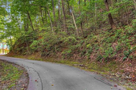 0000 Arcadia Falls Way Black Mountain NC 28711