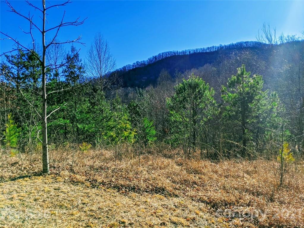 71 Tam Drive Waynesville NC 28786