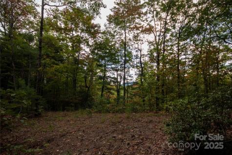 Lot# 594 Timberline Drive Lenoir NC 28645