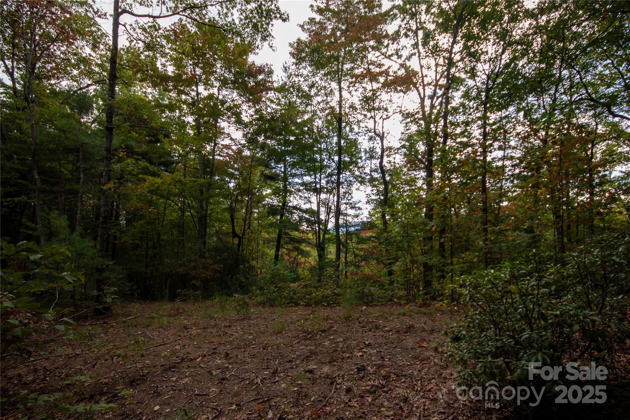 Lot# 594 Timberline Drive Lenoir NC 28645
