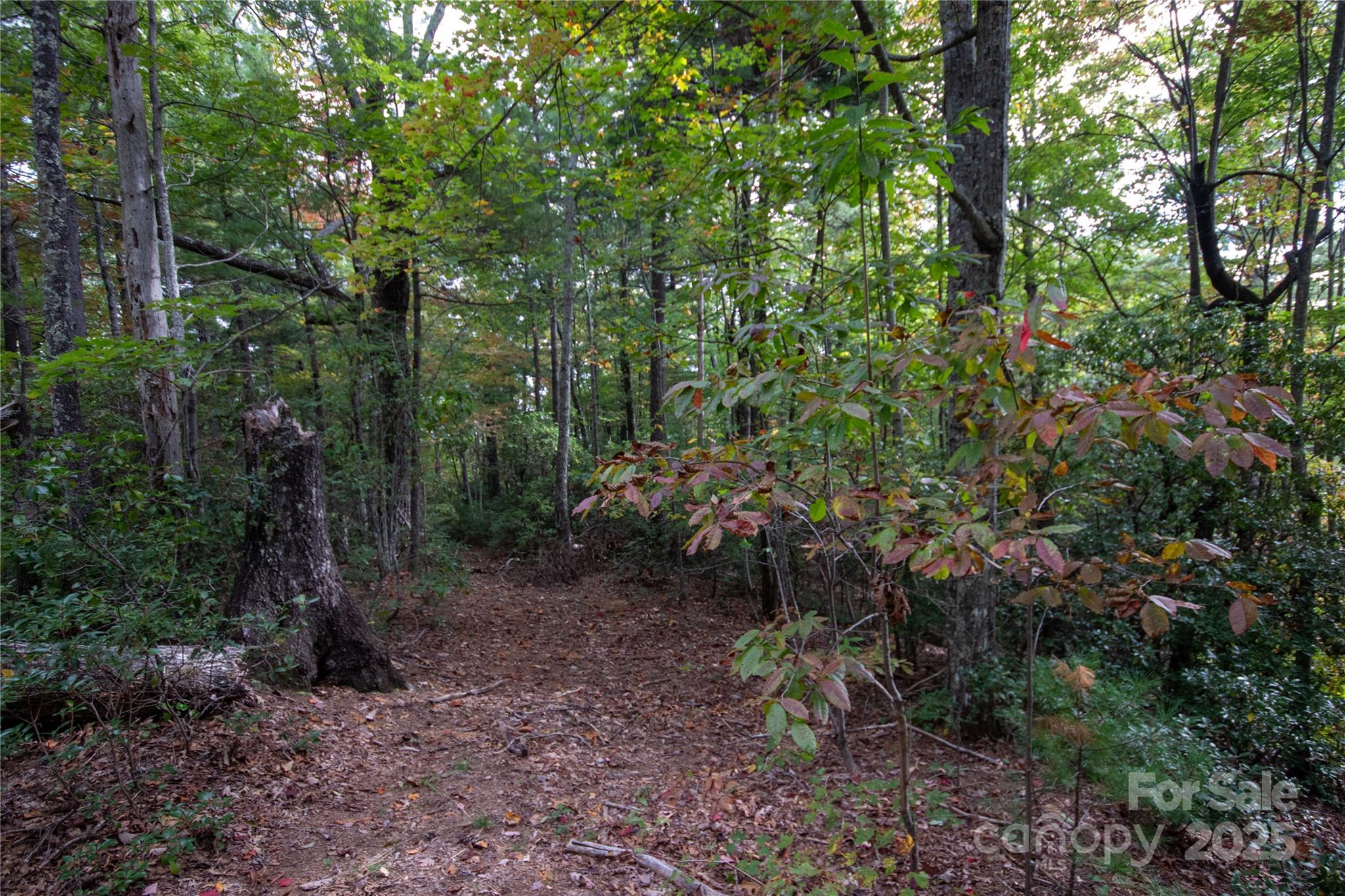 Lot# 594 Timberline Drive Lenoir NC 28645