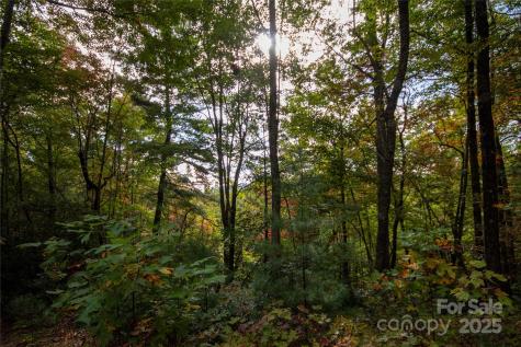 Lot# 594 Timberline Drive Lenoir NC 28645