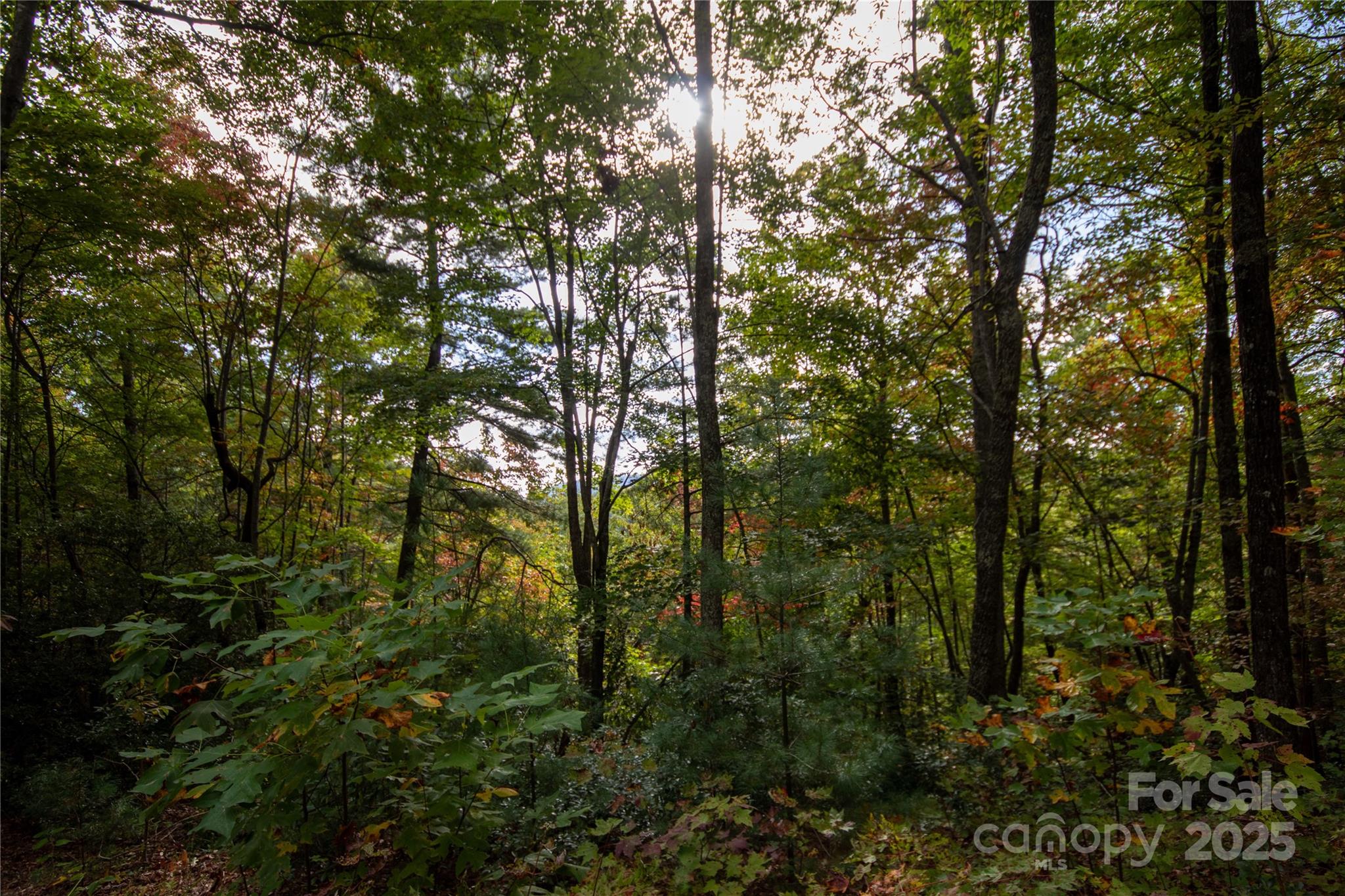 Lot# 594 Timberline Drive Lenoir NC 28645