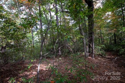 Lot# 594 Timberline Drive Lenoir NC 28645