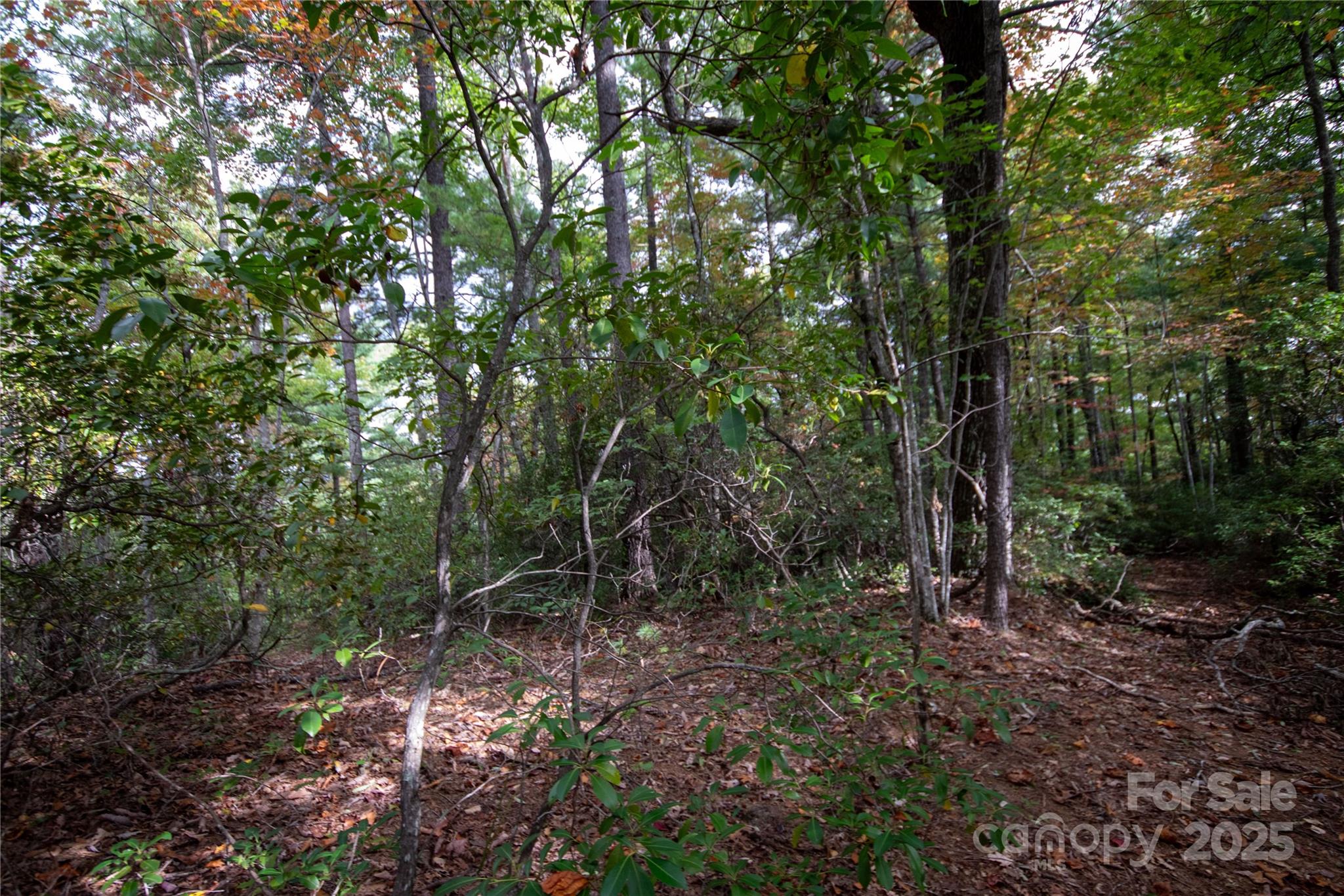 Lot# 594 Timberline Drive Lenoir NC 28645