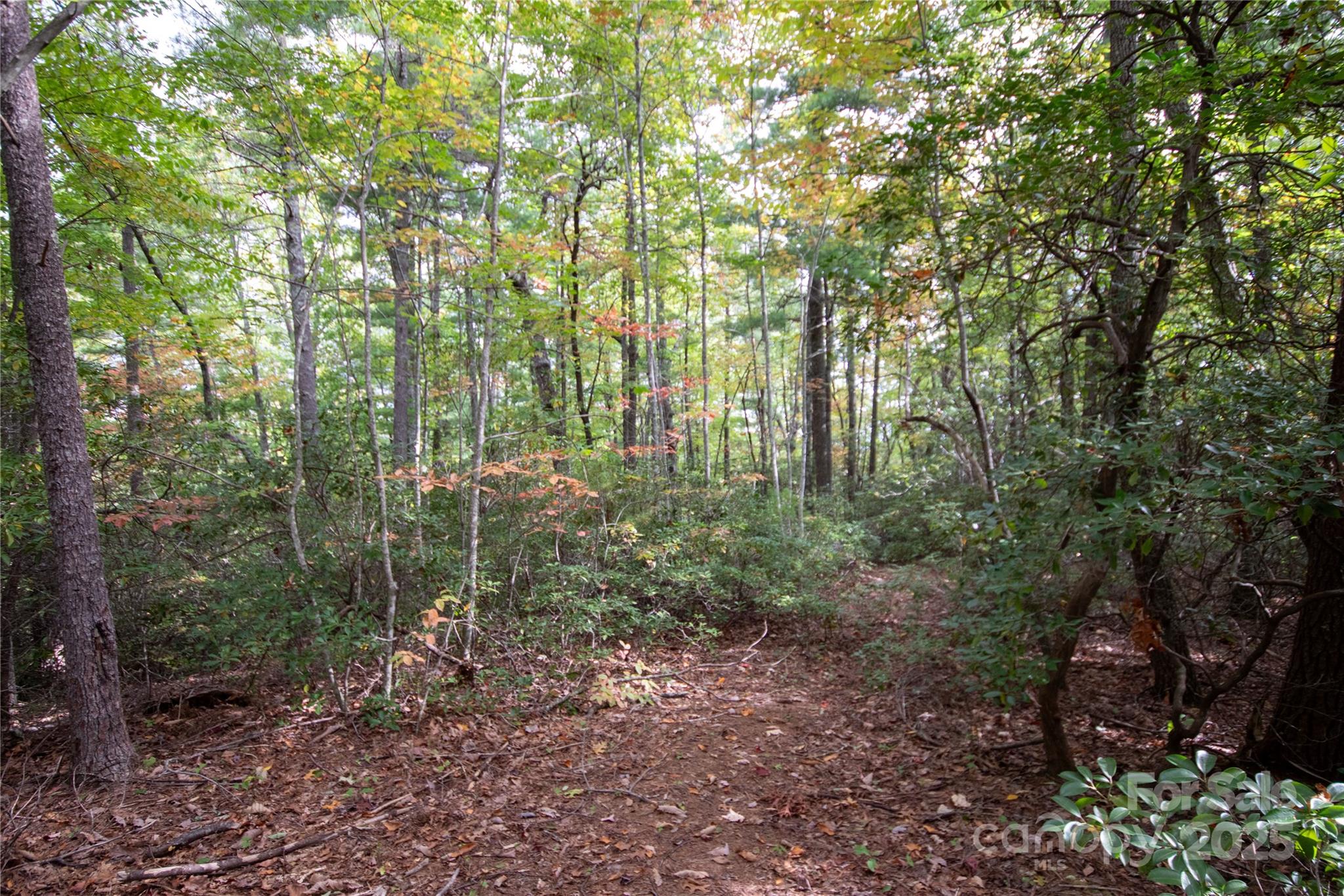 Lot# 594 Timberline Drive Lenoir NC 28645