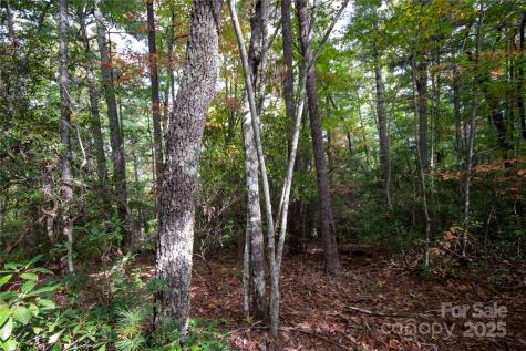 Lot# 594 Timberline Drive Lenoir NC 28645