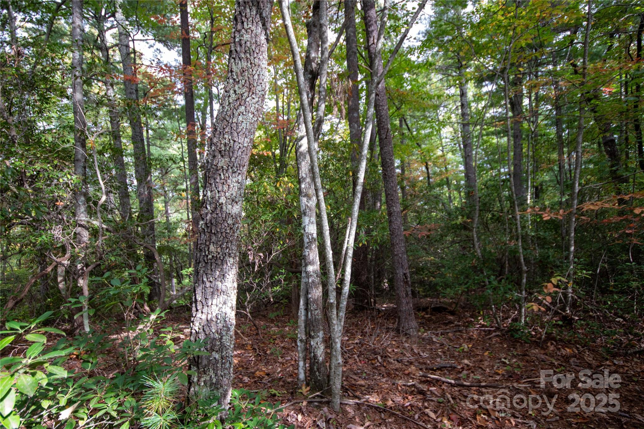 Lot# 594 Timberline Drive Lenoir NC 28645