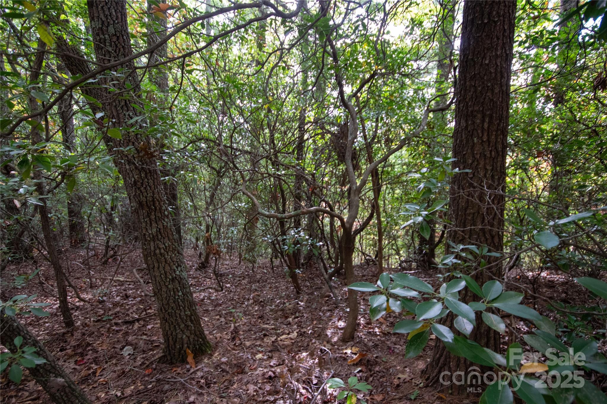 Lot# 594 Timberline Drive Lenoir NC 28645