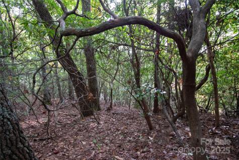 Lot# 594 Timberline Drive Lenoir NC 28645