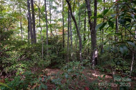 Lot# 594 Timberline Drive Lenoir NC 28645