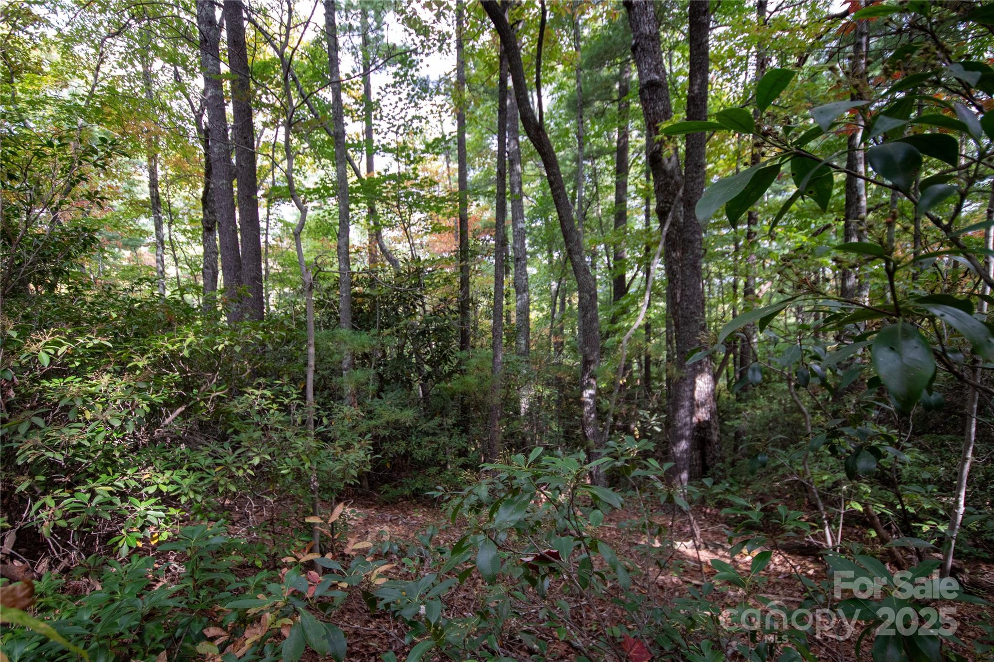 Lot# 594 Timberline Drive Lenoir NC 28645
