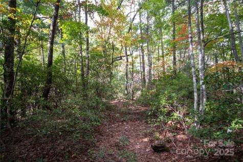 Lot# 594 Timberline Drive Lenoir NC 28645