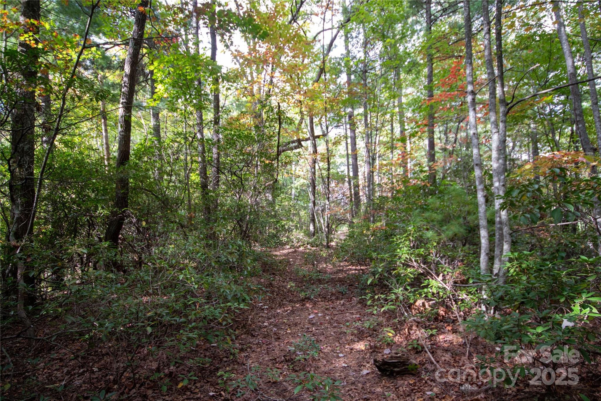Lot# 594 Timberline Drive Lenoir NC 28645