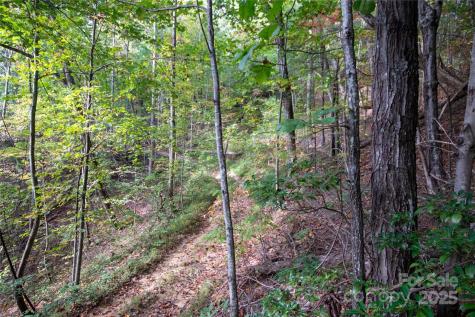 Lot# 594 Timberline Drive Lenoir NC 28645