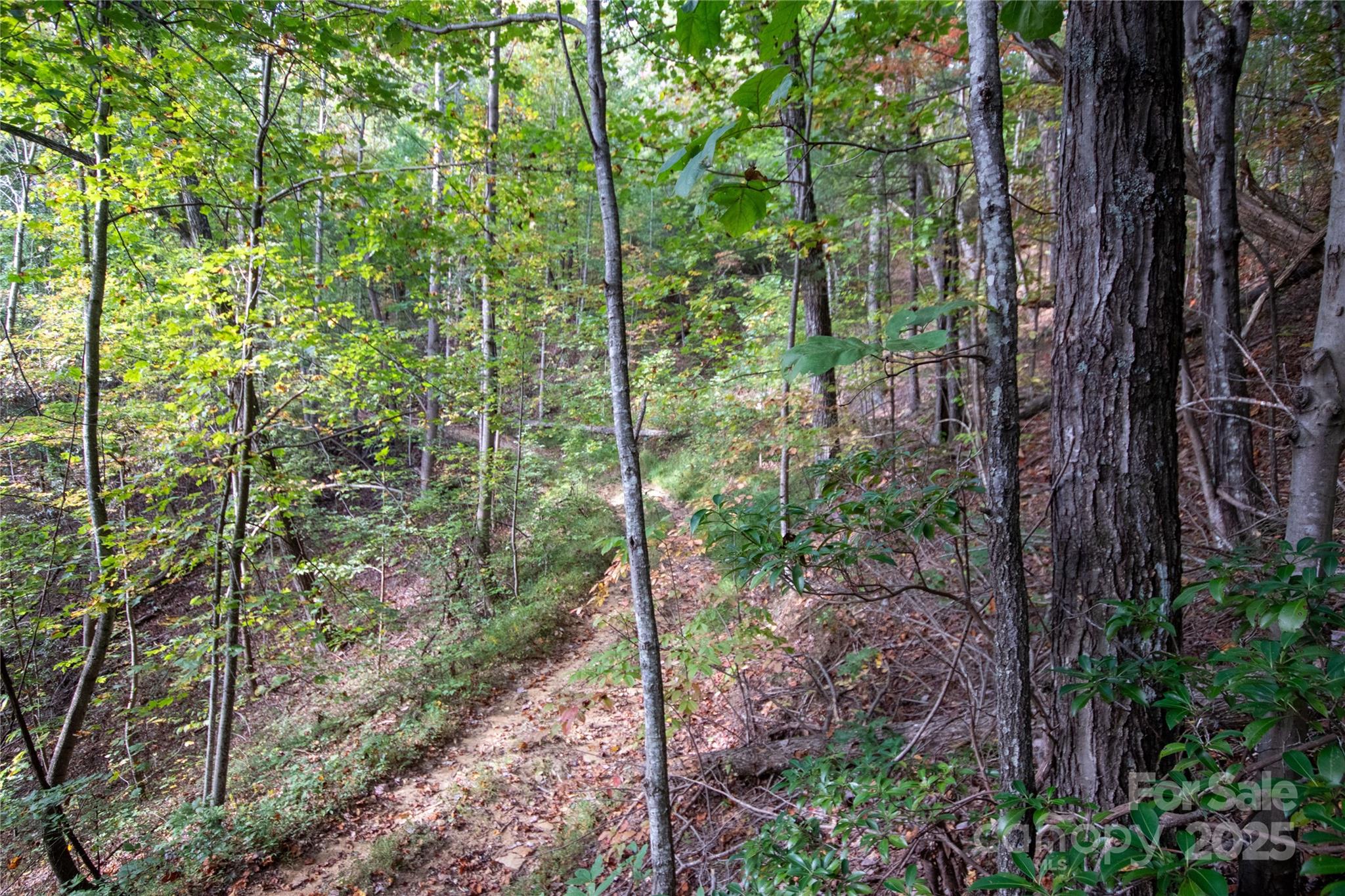 Lot# 594 Timberline Drive Lenoir NC 28645