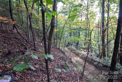 Lot# 594 Timberline Drive Lenoir NC 28645