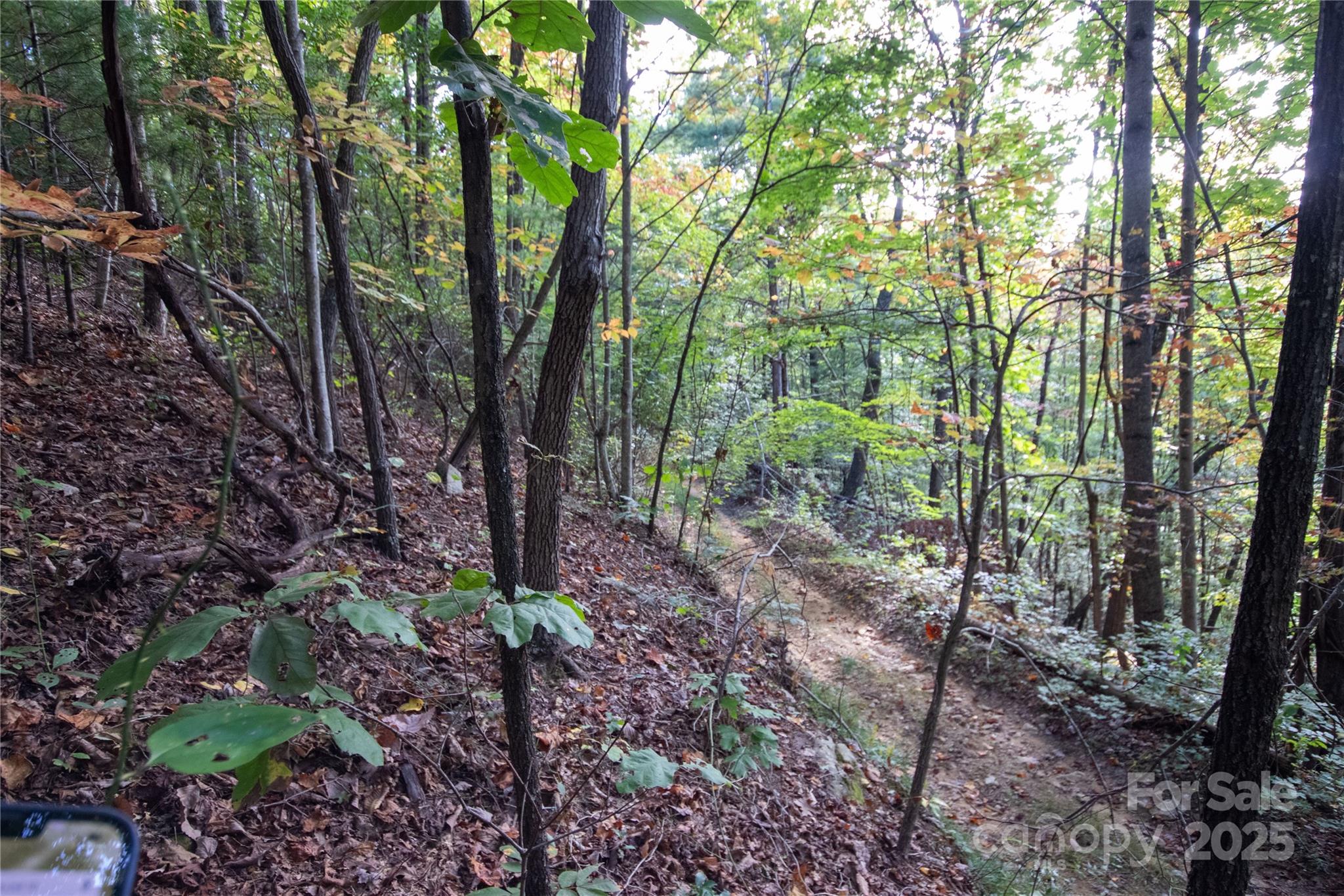 Lot# 594 Timberline Drive Lenoir NC 28645