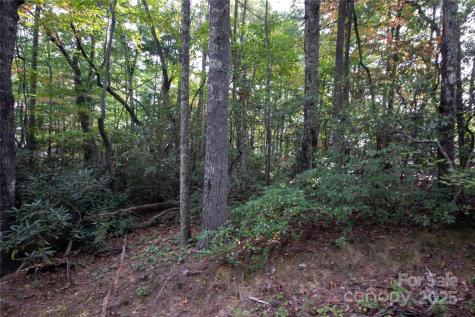 Lot# 594 Timberline Drive Lenoir NC 28645